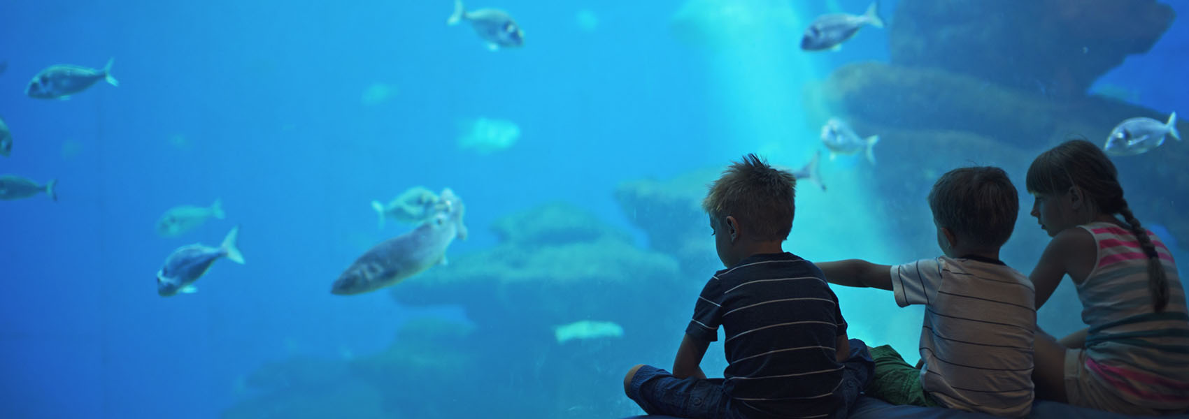 Kids in a huge aquarium