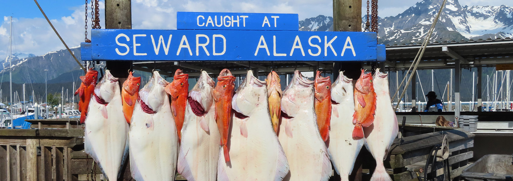 atch of the Day in Seward, Alaska